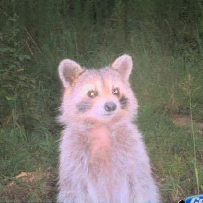 SidlingHill's profile picture. get a load of this goy