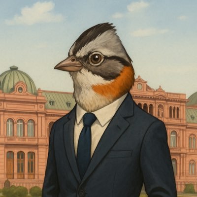 Chingololiberal's profile picture. Dios, patria, familia y Javier Milei 🇦🇷