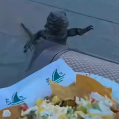 coastal_ice's profile picture. 