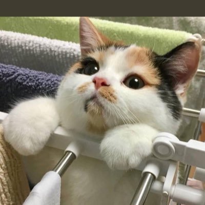 yama19670202's profile picture. いつかは死ぬ。後に残るのは、思い出や愛情だけ。自分の魂が霊界に旅立つまで何を残していけるのか。 いかにこの国や世界に良い事を残していけるのか。日本や世界を良くしていこうとしてる人達を応援したい。理不尽に扱われてる人達を微力ながら応援したい。そんな思いで始めます。
