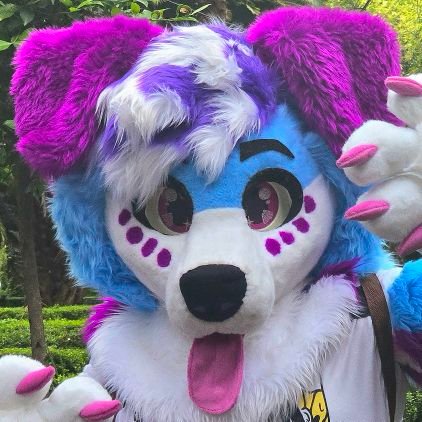 20 • I Like Gaming • He/Him • FPS DOG 🇲🇽 🐾 • SFW • ENFP