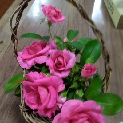 N2R6DkqTGw68270's profile picture. 食べるの大好き。お寿司大好き。ドライブ大好き。まんまるまるです。