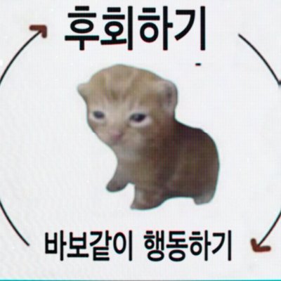 행복추구권 Profile