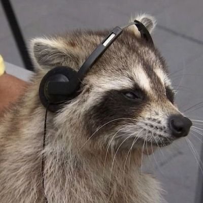 nata_cc39's profile picture. 