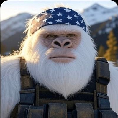 Husband,Father, Conservative, Combat Veteran showing support for America!!🇺🇸💯 I have a touch of sarcasm! Meme stealing is kinda my thing! 🫡