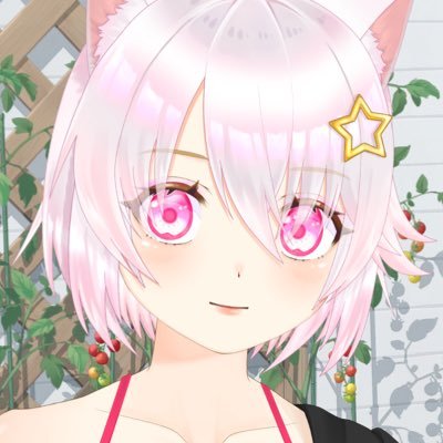 レトロゲーム配信メインのVtuber|Live2D作者:Prcx様(@user_prcx)、vroid作者:のっす様(@Noss_Lotus)|フォロバ目的なら諦めて下さい。相互リポストも致しておりません。