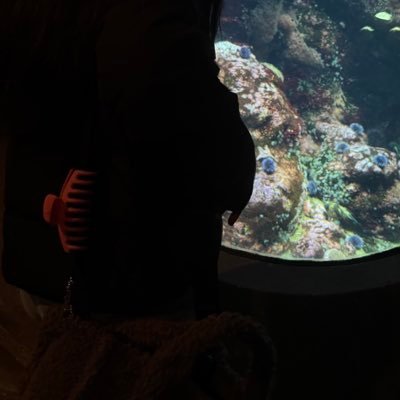 BasicLogic17's profile picture. ⚜️