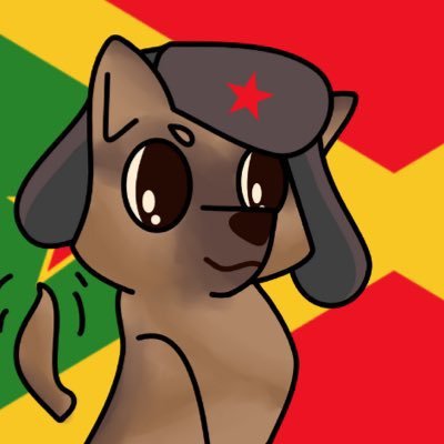 Any/all bisexual│☭ │YCL/Pro🇵🇸 organizer │ I love helping my community and the workers of the world
