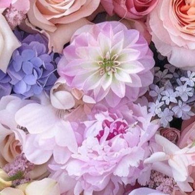 ayapom0806's profile picture. 