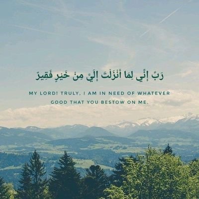 mrtwfyq4's profile picture. استاذ قانون