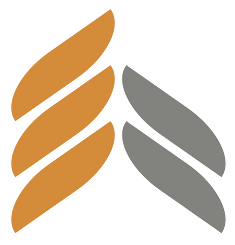 _strateva's profile picture. Strateva partners with small and mid-cap companies who seek practical and achievable paths to long-term, exponential growth.