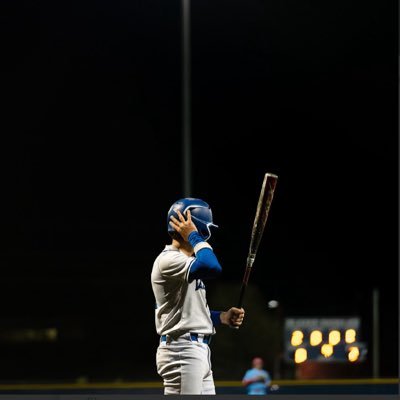 Baylor Vesey Profile