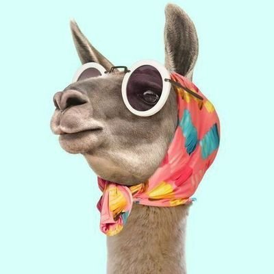 im_young_wolf's profile picture. Grinding @RAYLSLABS | Trader | NFT enthusiast | Gamer | Life learner | Son | i like ManCity | iWrite on what I find interesting