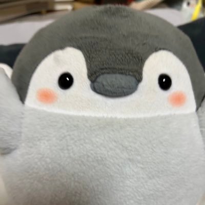 soraco7007's profile picture. コウペンちゃん、犬、パンダ、文房具、藤井フミヤが大好きです。🌟以前のアカウントが消えた？乗っ取られた？ため、再度立ち上げました🌟