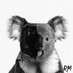 ⋆ ˚。⋆୨୧˚ yamikoo⁷ (@monieshere) Twitter profile photo ⋆ ˚。⋆୨୧˚ yamikoo⁷ (@monieshere) Twitter profile photo