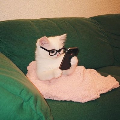 perismadewheart's profile picture. ꔛ 𓈒 * for work & giveaway⌇ owner @pearllycher . ˚◞♡ made by me #perismwh ⸝⸝ review ꒰ #prlchrw ꒱ 𓇥