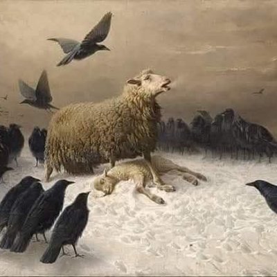 Fourtytwo_345's profile picture. Building with @DataHaven_xyz