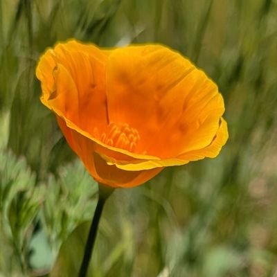 AlishiaRhoda's profile picture. Crafting authentic sourdough, delicate macarons, flaky scones, hearty pies, irresistible cookies, decadent cakes, muffins and more. 
Every bite tells a story