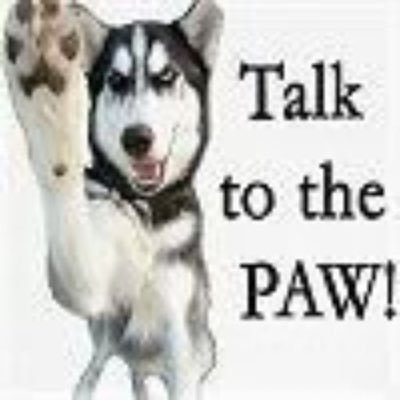 SprucedLeak's profile picture. nsfw artist👀