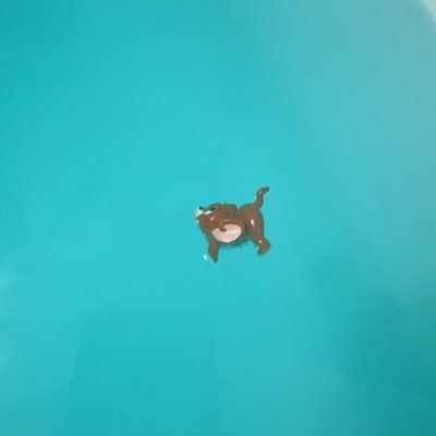 eun__ti's profile picture. 