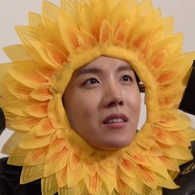 💜 OT7 💜 APOBANGPO 💜 🌻’92🌻 🇬🇧 🌻she/her🌻 🐿️🐥 bias 🧈Butter era🧈JK LDN 21.7.23🌻Hobipalooza Berlin🌻RunJin LDN D1&2 AMS D2🌻