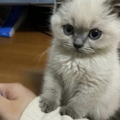 sluttyrntaa's profile picture. dirty acc | bbw | f21 | bi