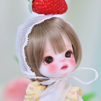수이돌 Suidoll BJD Profile