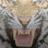 tigerspride's profile image