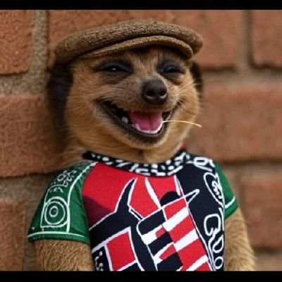 Alfred_M44's profile picture. Better for good.
Justice be our shield and defender.

Better Kenya.