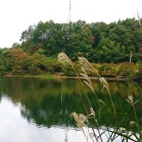 K『釣りに行く車ポンコツくんで来年まで乗りますけどなにか?』だから今年は近場が多いですけどなにか? (@k60012542) 's Twitter Profile Photo K『釣りに行く車ポンコツくんで来年まで乗りますけどなにか?』だから今年は近場が多いですけどなにか? (@k60012542) 's Twitter Profile Photo