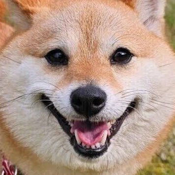 inudearu_'s profile picture. 