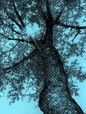 chaithu_yeager's profile picture. Pen is mightier than Sword - Light Yagami