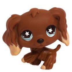 pinkteddybearss's profile picture. nsfw | 20 |