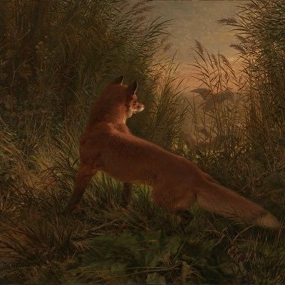 TokaDeFox's profile picture. 20 y/o graphic designer & fashion journalist | HE | SHARKFRUIT DEBUT ON 1.1.26