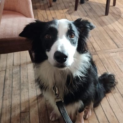 stuff802's profile picture. very witty, sexy, fabulous at anything I lay my hands on and a born fibber of the highest order.

All opinions my own.