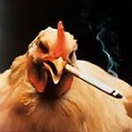 Cluckchain Mainnet (Offline) Profile