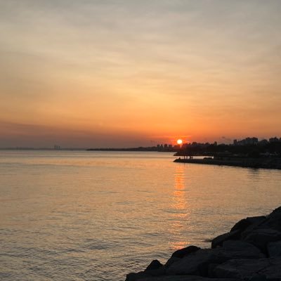 sirvan3345's profile picture. 