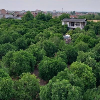 خدایا هرآنچه تو خواهی،ایمان،تقوا،راستی ودرستی وصداقت.♥️♥️♥️🥰
