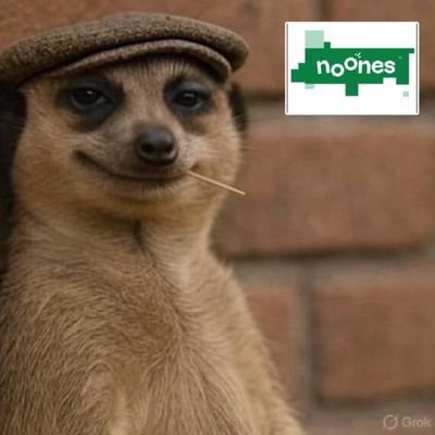 ds_mobowale's profile picture. Tech Web3 Enthusiast | Digital Printing and Branding | Graphic Designer | Ambassador for NoOnes 🪙💻