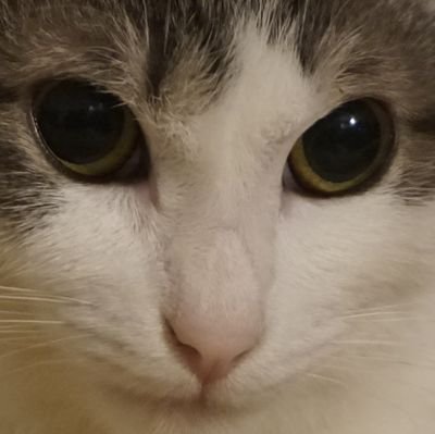 サンライズ坊やです、本アカウント(surise_boya)凍結中、みんなで私を復活させて‥!┏( .-. ┏ ) ┓
テクニカル分析の無料コミュニティ「直線厨」はこちらより╰( ^o^)╮
https://t.co/mURuEjMDbU
月額550円で相場考察マガジン配信中!ベンチプレス130㌔