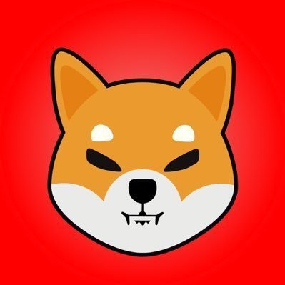 __Tomsikrutoka's profile picture. Official Shib Notification