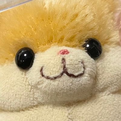はなえのぬいぐるみ（@hanaenonui）さま から移住してきたモヘアでゴールデンなハムスター ⚡️⚡️公時(きんとき)⚡️⚡️リプはハムではなく主がしてます✍️