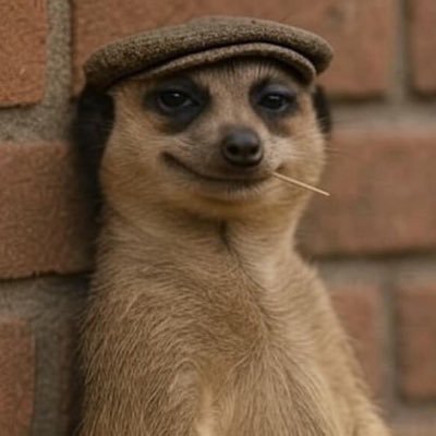 Mitchel98849321's profile picture. Good