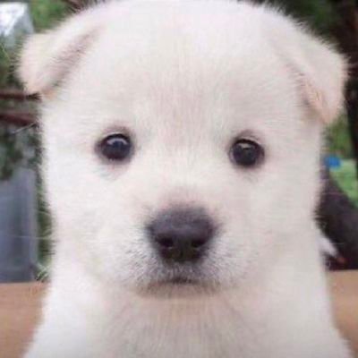 _Us_eb's profile picture. 엠본엠
#BonnieEmi #EmiBonnie
#followUSEmibonnie