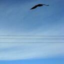 Doug Lowe - @DeepIntoIt - Twitter