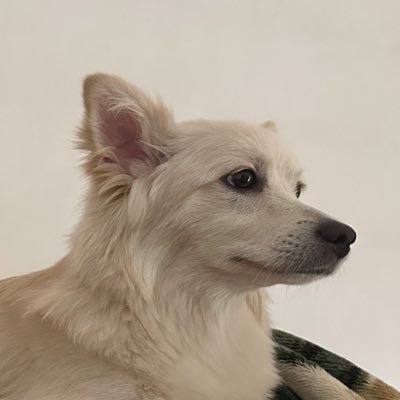 Hossein37117809's profile picture. 