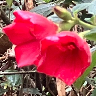 LauraBa15987162's profile picture. 