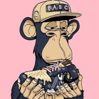 bit void (@bitvoid_) 's Twitter Profile