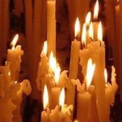 dr_fofy's profile picture. مذكرات خاصة