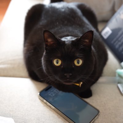 bj_2015_2021's profile picture. 独立开发者，分享日常